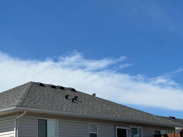 Best Asphalt Shingle Roofing  in Huntsville, TX